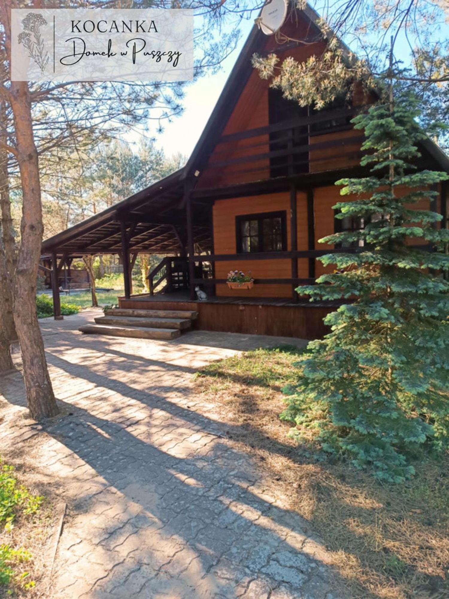 Domek W Puszczy ,,Kocanka" Mezyk Exterior foto